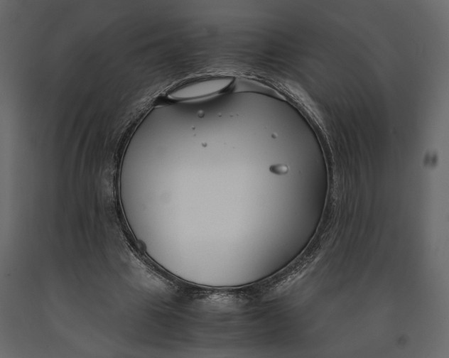 X0000091060441200708271159