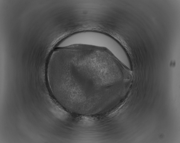X0000091060442200708271159