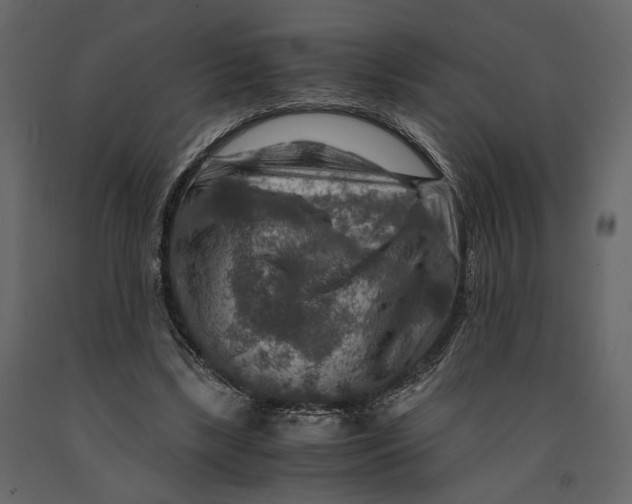 X0000091060443200708271159