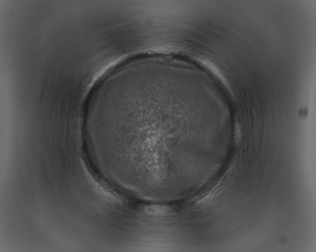 X0000091060444200708271159