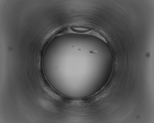 X0000091060446200708271159