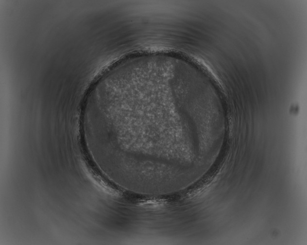 X0000091060447200708271159
