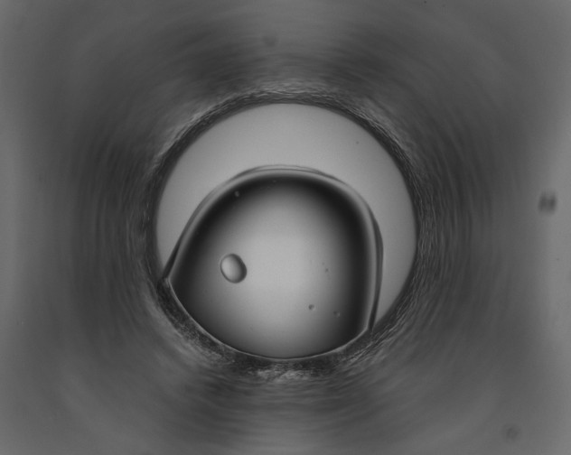 X0000091060448200708271159