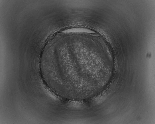X0000091060449200708271159