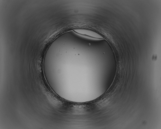 X0000091060450200708271159