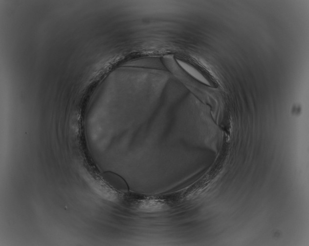 X0000091060451200708271159