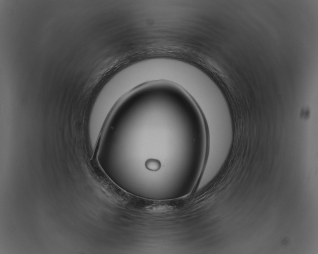 X0000091060452200708271159