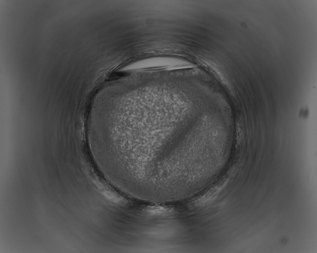 X0000091060453200708271159