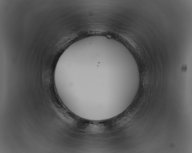 X0000091060455200708271159