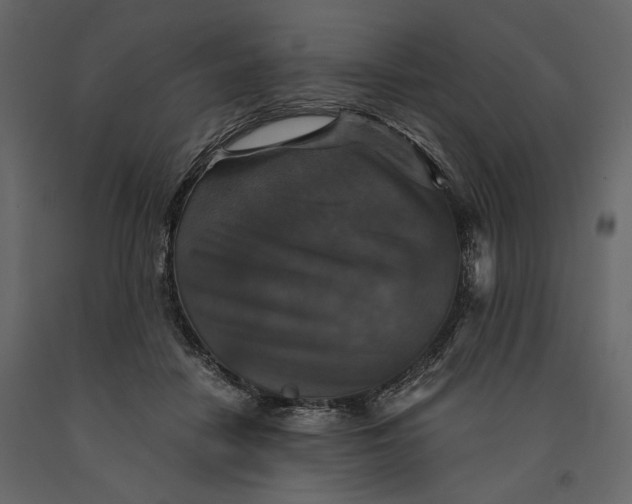 X0000091060458200708271159