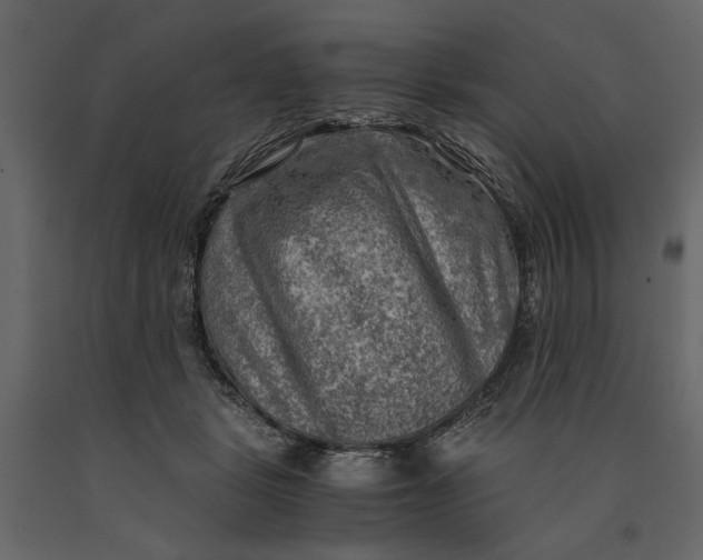 X0000091060461200708271159