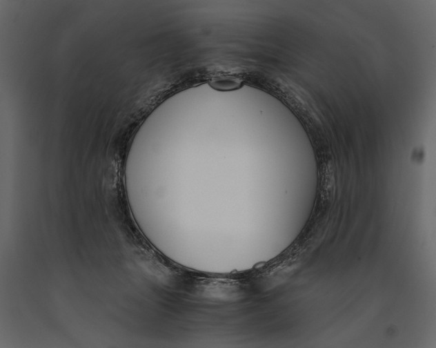 X0000091060463200708271159