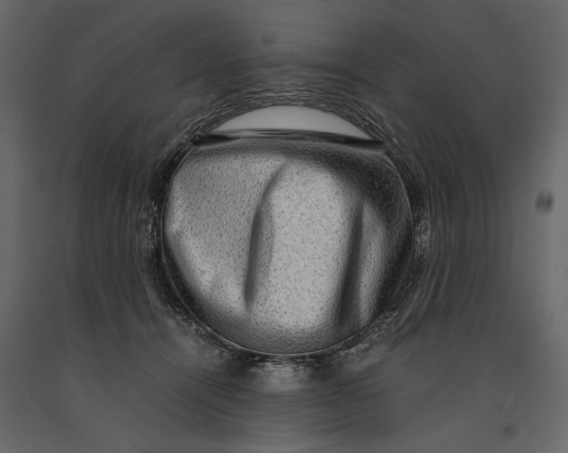 X0000091060464200708271159