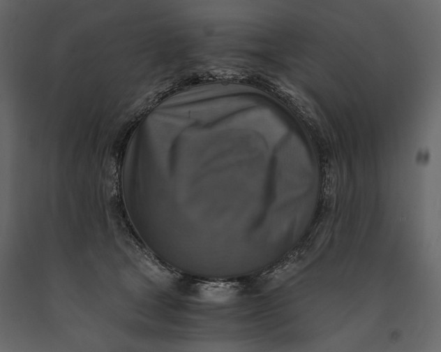 X0000091060465200708271159