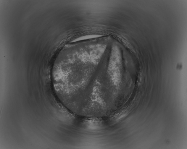 X0000091060466200708271159