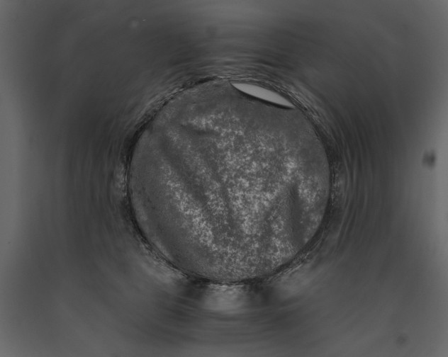 X0000091060469200708271159