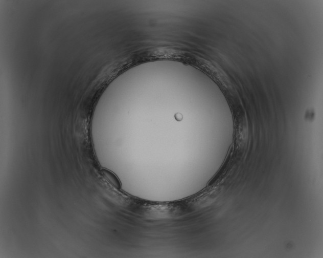 X0000091060473200708271159