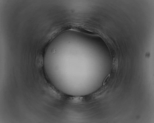 X0000091060474200708271159