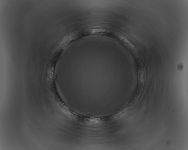 X0000091060475200708271159
