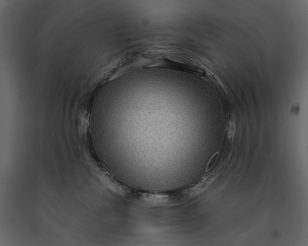 X0000091060476200708271159