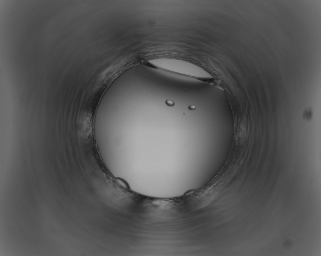 X0000091060478200708271159