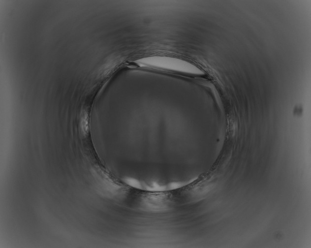 X0000091060479200708271159