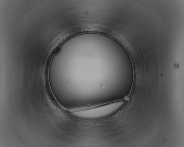 X0000091060482200708271159