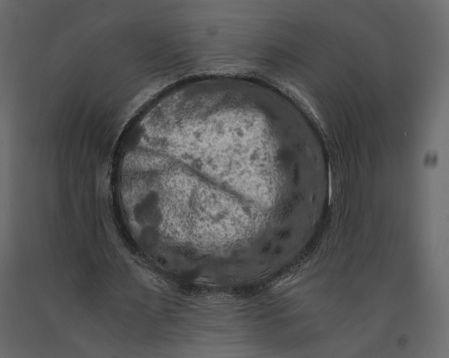 X0000091060483200708271159