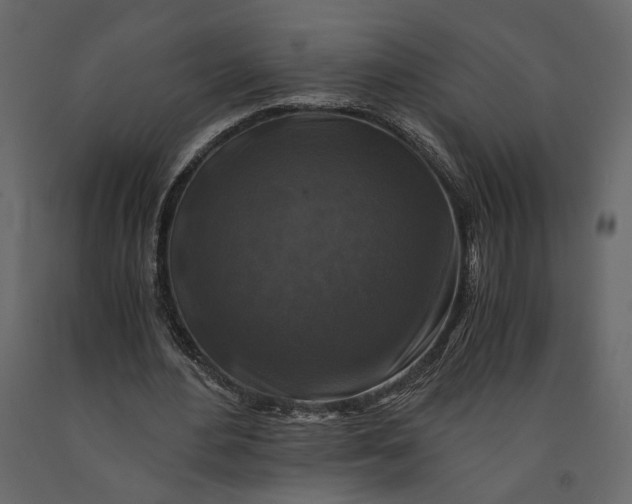X0000091060484200708271159