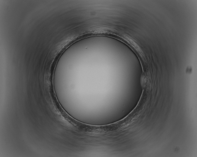 X0000091060485200708271159
