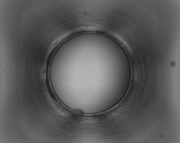 X0000091060486200708271159