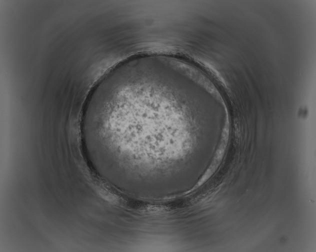 X0000091060487200708271159