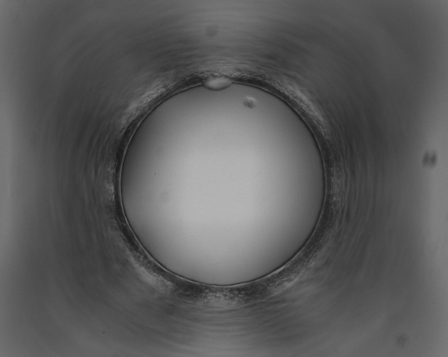 X0000091060489200708271159
