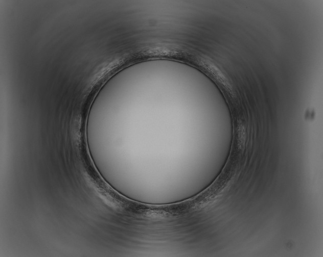 X0000091060490200708271159