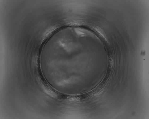 X0000091060491200708271159