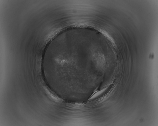 X0000091060493200708271159
