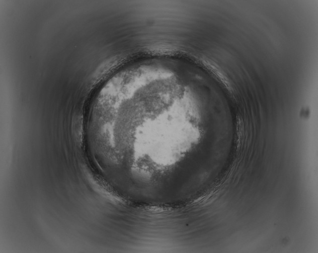 X0000091060494200708271159