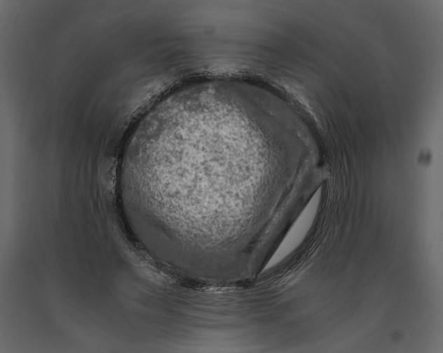 X0000091060495200708271159