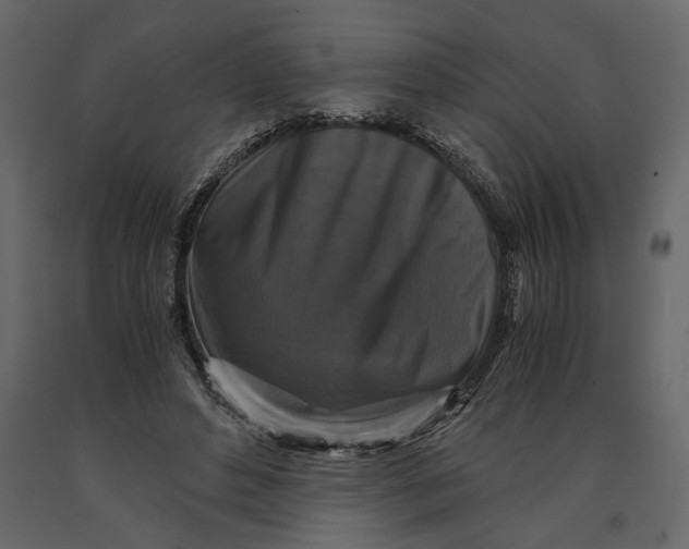 X0000091060496200708271158
