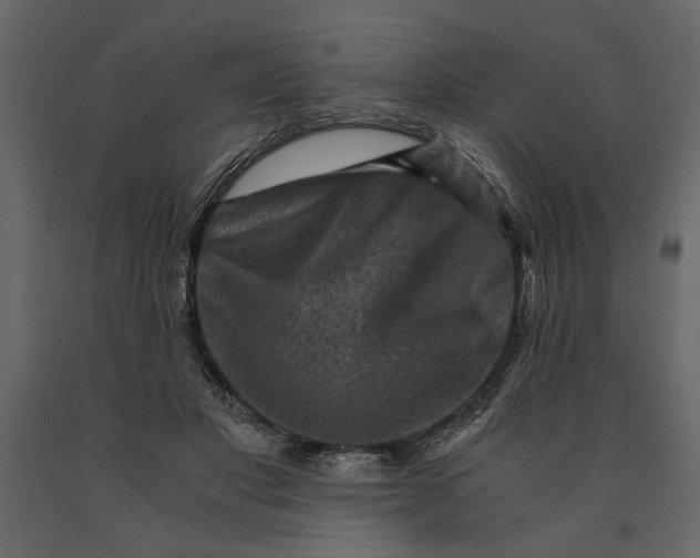 X0000091060501200708271158