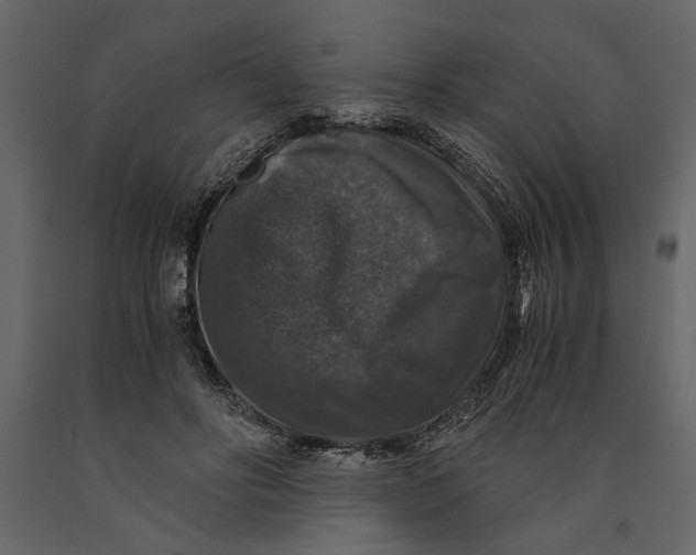 X0000091060502200708271158