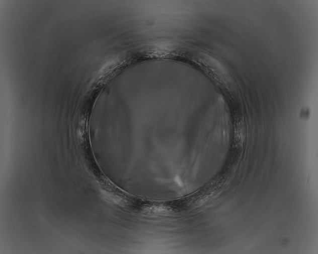 X0000091060503200708271158