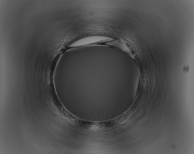 X0000091060504200708271158