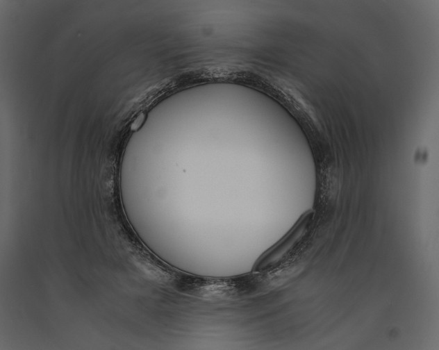 X0000091060505200708271158