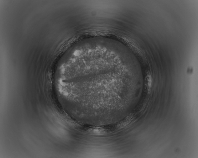 X0000091060506200708271158