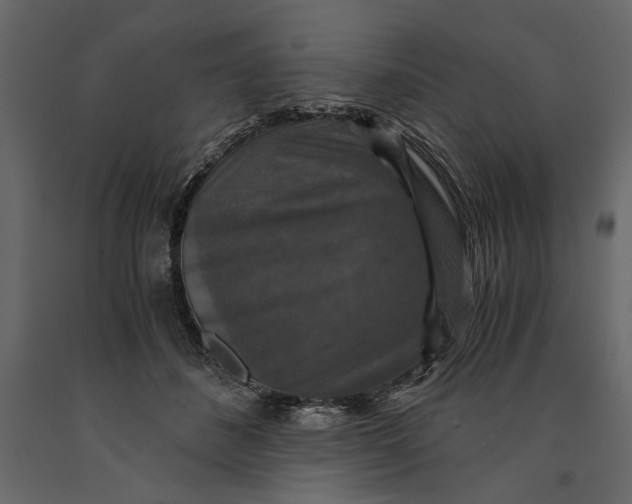 X0000091060508200708271158