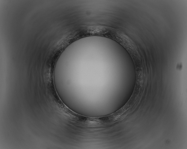 X0000091060510200708271158