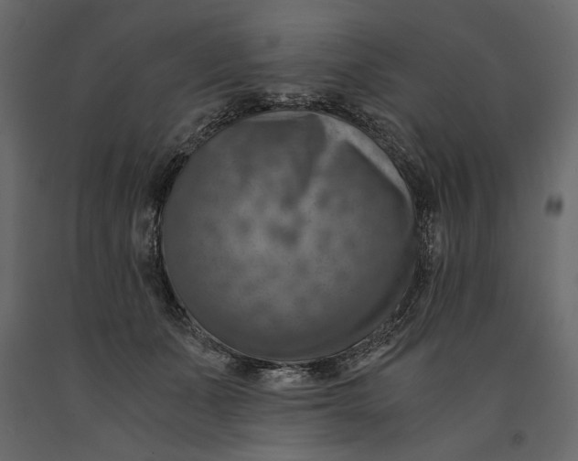X0000091060511200708271158