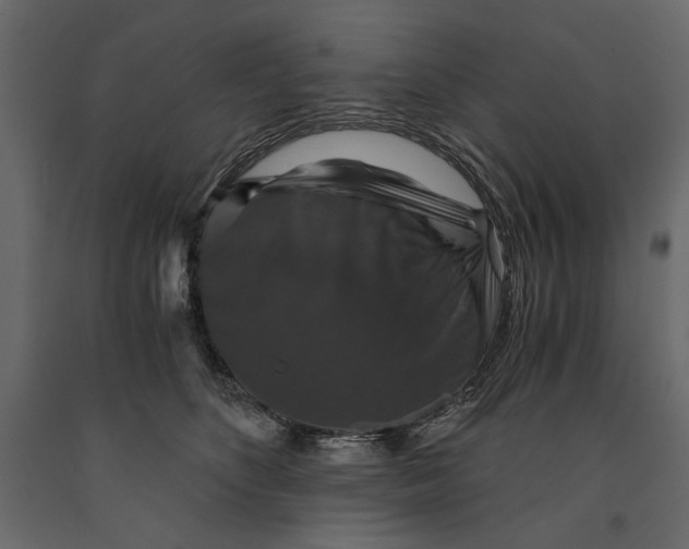 X0000091060516200708271158