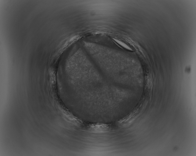 X0000091060517200708271158